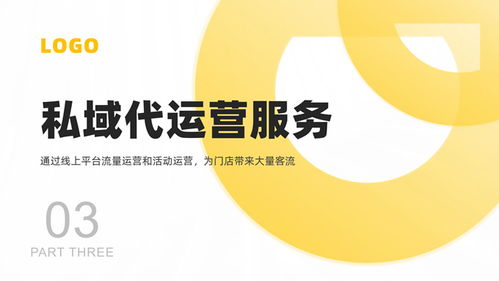 軟件運(yùn)營(yíng)服務(wù)公司產(chǎn)品介紹PPT模板