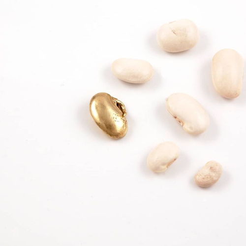 跨界藝術之旅 RCA珠寶創意思維暑期課程，釋放你的設計潛能