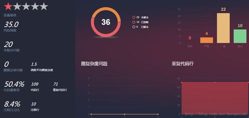 華為軟件開發(fā)云測評報(bào)告二 代碼檢查與軟件開發(fā)