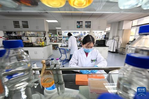 我在崗位上迎新年 企業(yè)技術(shù)咨詢服務(wù)的堅守與展望